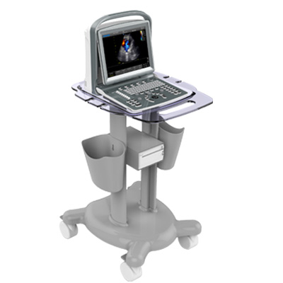 Portable and cart-based ultrasound systems
