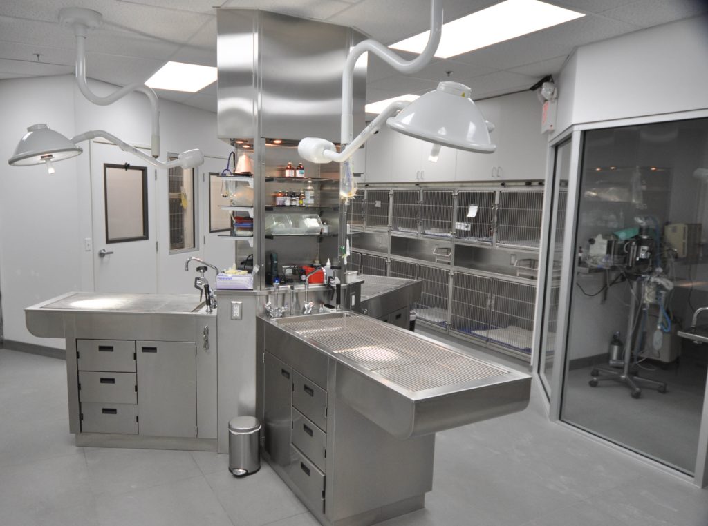 Veterinary clinic equipment