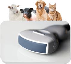 Veterinary ultrasound systems